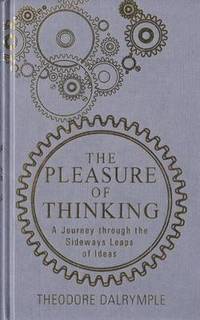 bokomslag Pleasure of Thinking