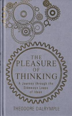 bokomslag Pleasure of Thinking