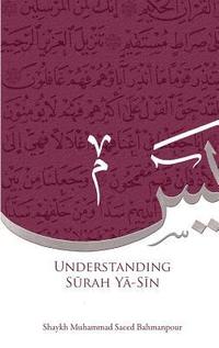 bokomslag Understanding Surah Yasin