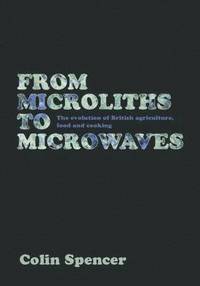 bokomslag From Microliths to Microwaves