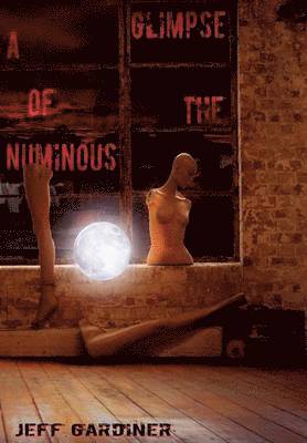 Jeff Gardiner - Glimpse of the Numinous, Inbunden