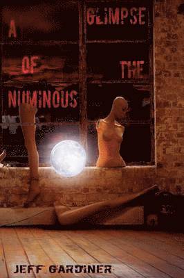 bokomslag A Glimpse of the Numinous (Paperback)