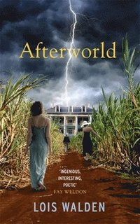 bokomslag Afterworld