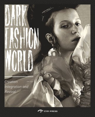 bokomslag Dark Fashion World