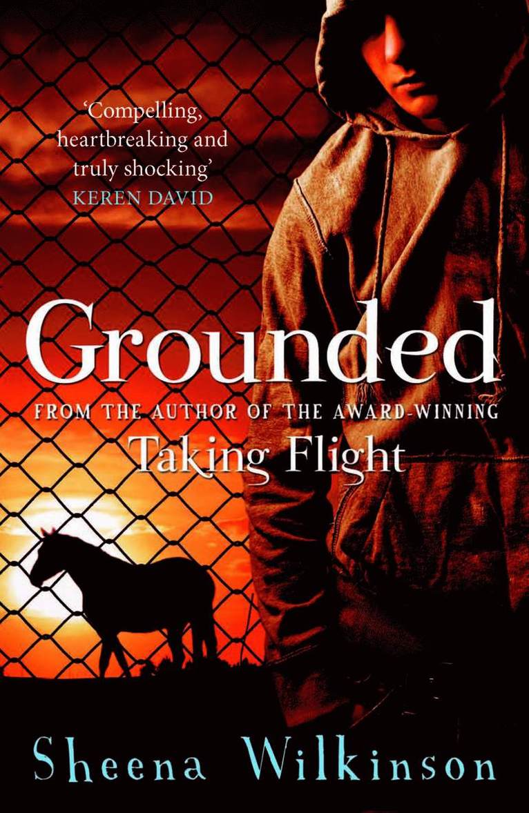 Sheena Wilkinson - Grounded, Häftad