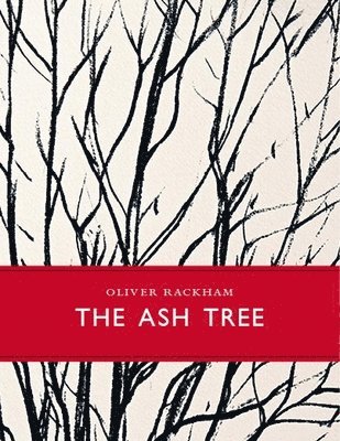 Ash Tree