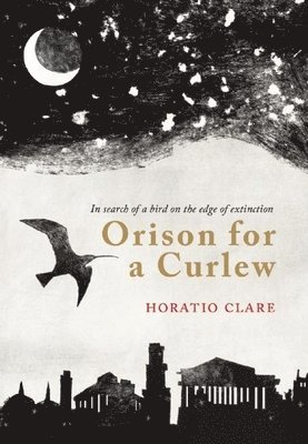 Orison for a Curlew 1