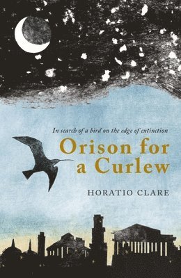 Orison for a Curlew 1