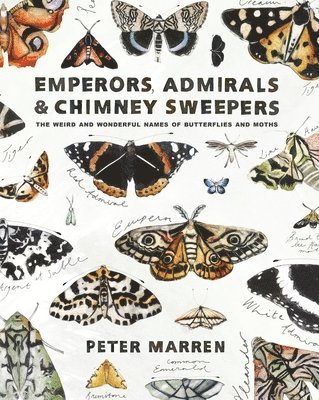 Emperors, Admirals and Chimney-Sweepers 1