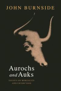 bokomslag Aurochs and Auks