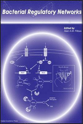 bokomslag Bacterial Regulatory Networks