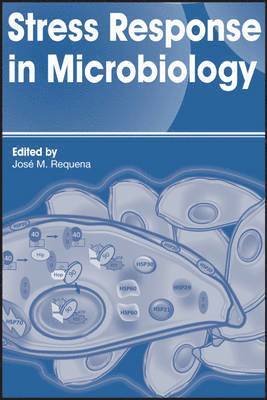 bokomslag Stress Response in Microbiology