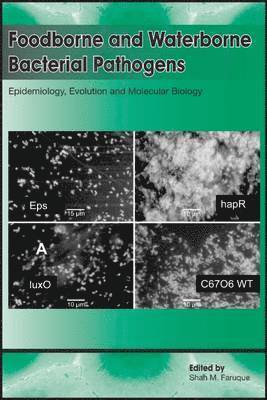 Foodborne and Waterborne Bacterial Pathogens: Epidemiology, Evolution and Molecular Biology 1