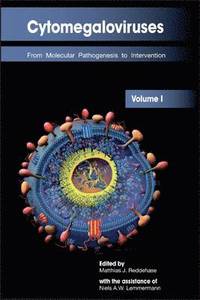 bokomslag Cytomegaloviruses: Volume I