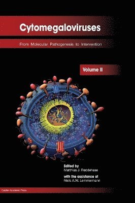 bokomslag Cytomegaloviruses: Volume II
