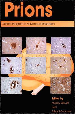 Akikazu Sakudo, Takashi Onodera - Prions: Current Progress in Advanced Research, Inbunden