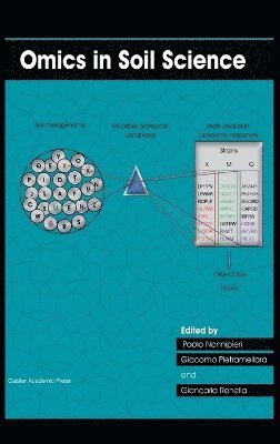 bokomslag Omics in Soil Science