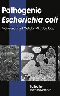 bokomslag Pathogenic Escherichia Coli