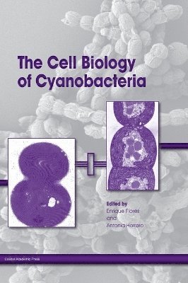 bokomslag The Cell Biology of Cyanobacteria