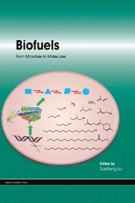 Biofuels 1