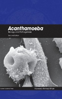 bokomslag Acanthamoeba