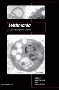 bokomslag Leishmania