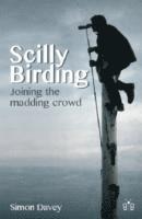 bokomslag Scilly Birding
