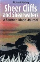 bokomslag Sheer Cliffs and Shearwaters
