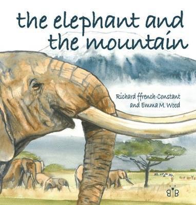 The Elephant and the Mountain 1