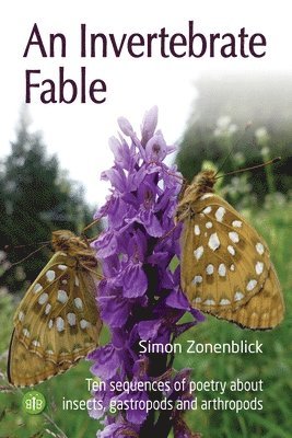 bokomslag An Invertebrate Fable