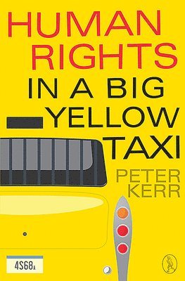 bokomslag Human Rights in a Big Yellow Taxi