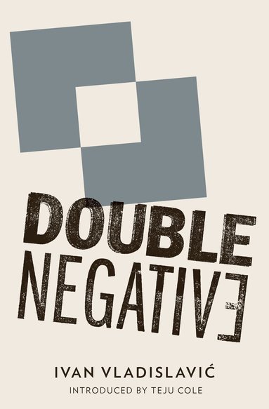 Ivan Vladislavić - Double Negative, Häftad