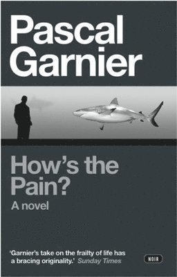 Pascal Garnier - How's the Pain?: Shocking, hilarious and poignant noir, Häftad