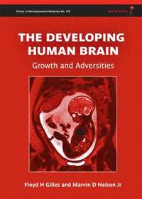 bokomslag The Developing Human Brain