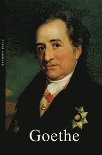 bokomslag Goethe