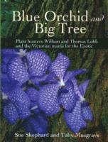 Blue Orchid and Big Tree 1