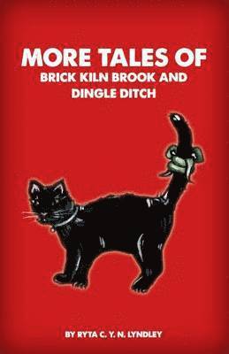 bokomslag More Tales of Brick Kiln Brook and Dingle Ditch