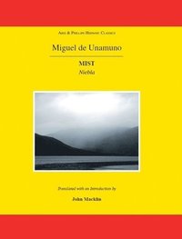bokomslag Unamuno: Mist