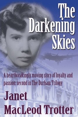 bokomslag Darkening Skies