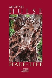 bokomslag Half-Life