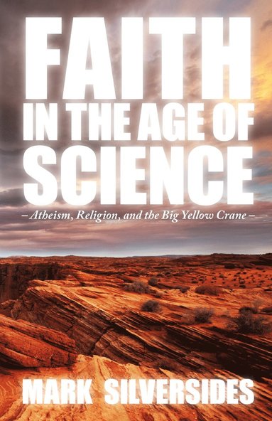 bokomslag Faith in the Age of Science