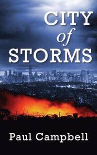 bokomslag City of Storms