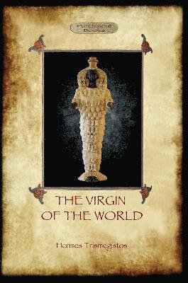 bokomslag Virgin of the World