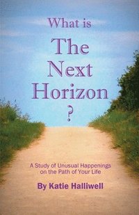 bokomslag What is The Next Horizon?