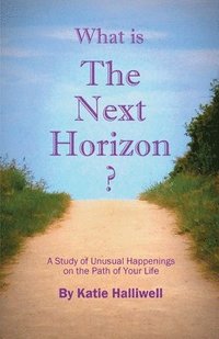 bokomslag What is The Next Horizon?