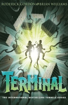 Terminal