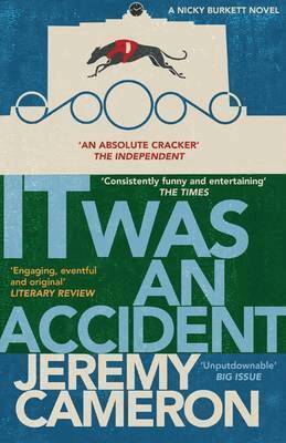 Jeremy Cameron - It was An Accident, Häftad