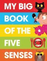 bokomslag My Big Book of the Five Senses
