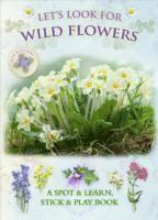 Let's Look for Wild Flowers 1