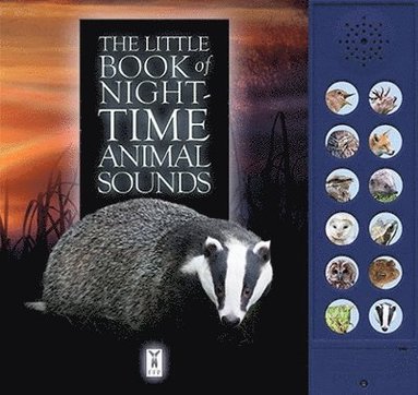 bokomslag Little Book of Night-Time Animal Sounds